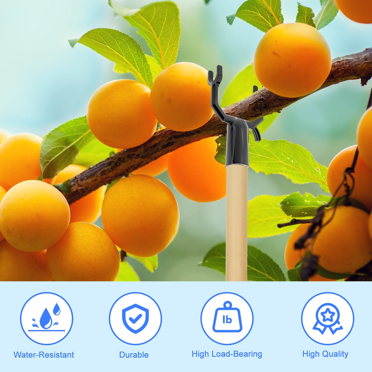 West Bay tree supports enable precise height adjustment for fruit trees