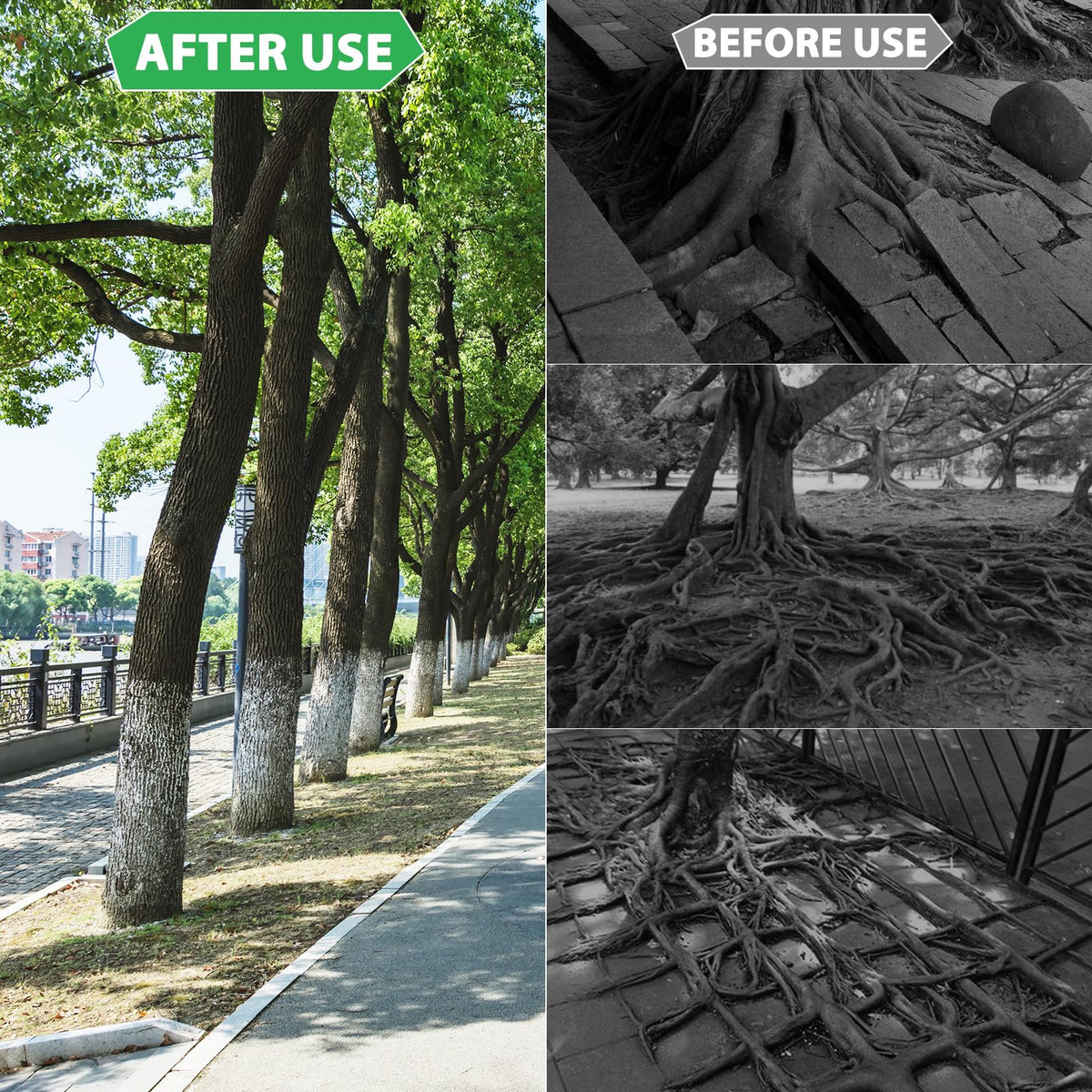 West Bay root barrier protects fences and foundations from penetrating tree roots.