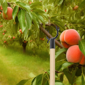 West Bay rust-resistant garden stakes in a garden setting