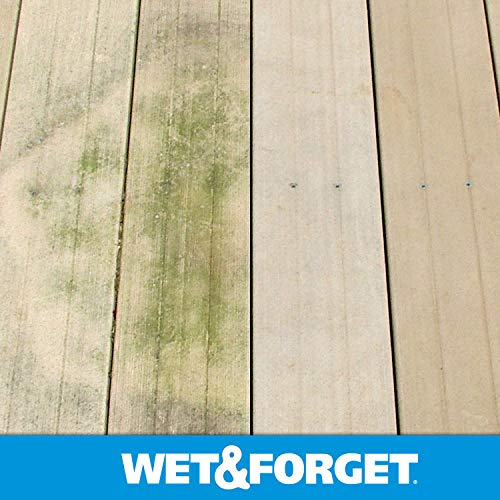 Wet and Forget deck with moss before cleaning