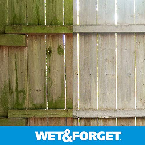 Wet and Forget patio showing cleaned algae stain