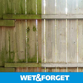 Wet and Forget patio showing cleaned algae stain