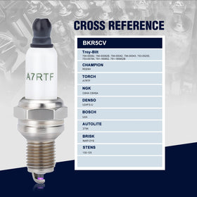 Wetenex two-pack spark plugs ready for quick lawn tool maintenance.