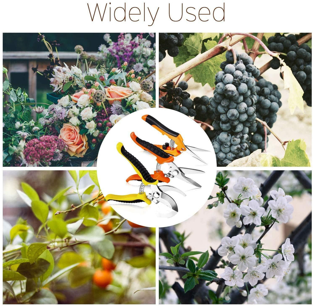Wevove pruning shears cleaning and oiling tips for longevity.