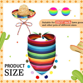 Weysat close-up of Mexican sombrero on goose for vibrant Cinco de Mayo style