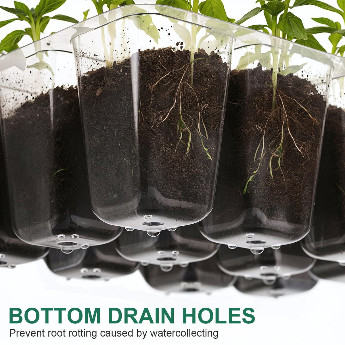 WFOEJEJ enhanced drainage design prevents overwatering.