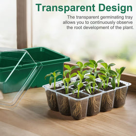 WFOEJEJ transparent mini greenhouse lets you watch roots and growth.