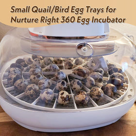 WFXSHparts quail egg tray side view highlighting sturdy construction for incubators