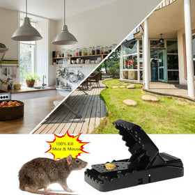 High sensitivity Wgbon trap delivers quick, clean kills of small mice.