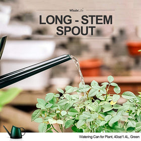 WhaleLife long spout reduces spills on surfaces.