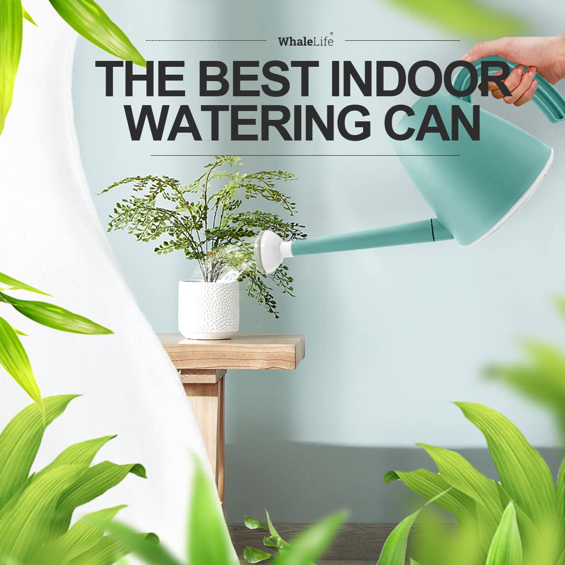 WhaleLife 2L capacity minimizes refills during busy watering sessions.