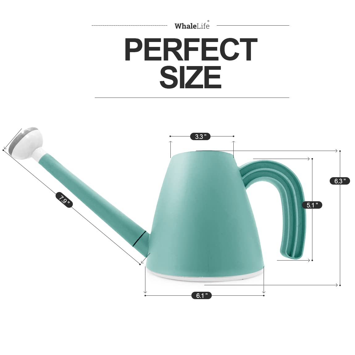 WhaleLife blue indoor plant watering can designed for tidy, spill-free care.