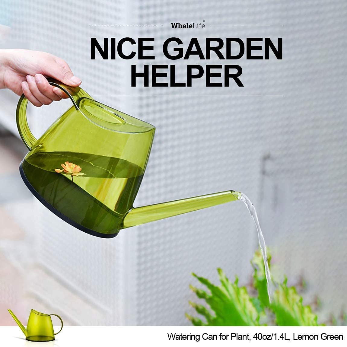 WhaleLife bonsai care scene shows gentle irrigation for small pots.