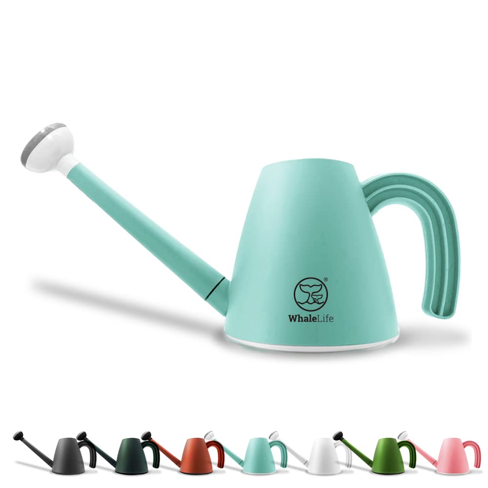 WhaleLife bonsai watering can with 2L capacity for precise indoor care.
