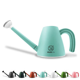 WhaleLife bonsai watering can with 2L capacity for precise indoor care.
