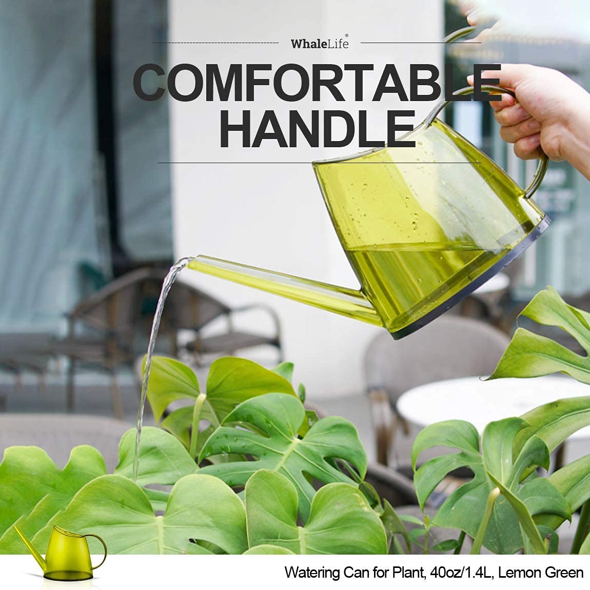 WhaleLife desk garden setup demonstrates tidy, controlled watering on a windowsill.