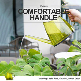 WhaleLife desk garden setup demonstrates tidy, controlled watering on a windowsill.
