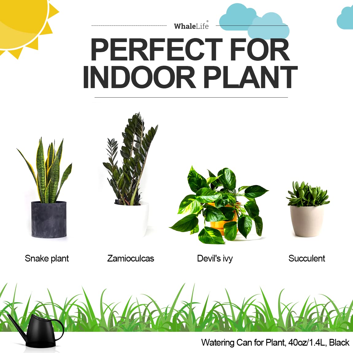 WhaleLife extended spout enables precise watering to plant roots