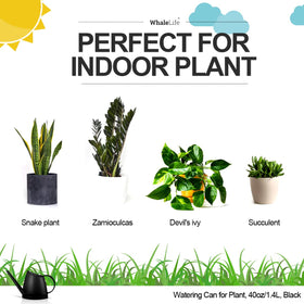 WhaleLife extended spout enables precise watering to plant roots