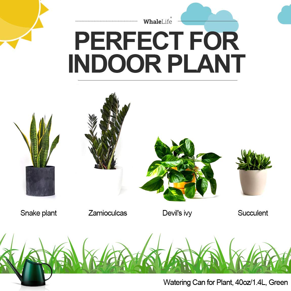WhaleLife green plastic watering pitcher blends with decor while keeping plants hydrated.