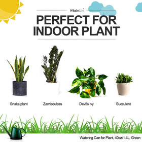 WhaleLife green plastic watering pitcher blends with decor while keeping plants hydrated.