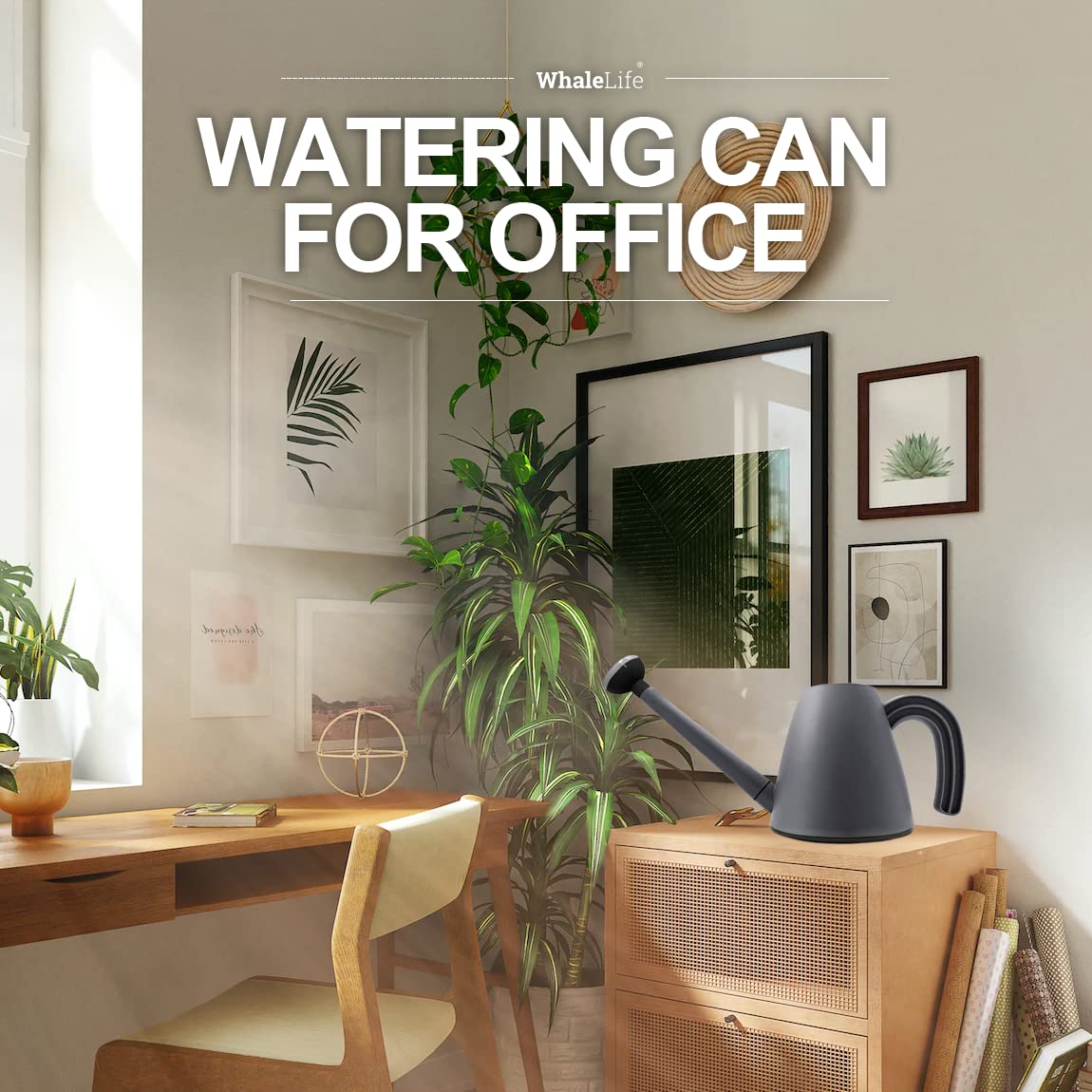 WhaleLife great for succulents and tiny herbs without spills.