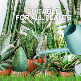 WhaleLife lightweight, durable plastic watering can for easy use.
