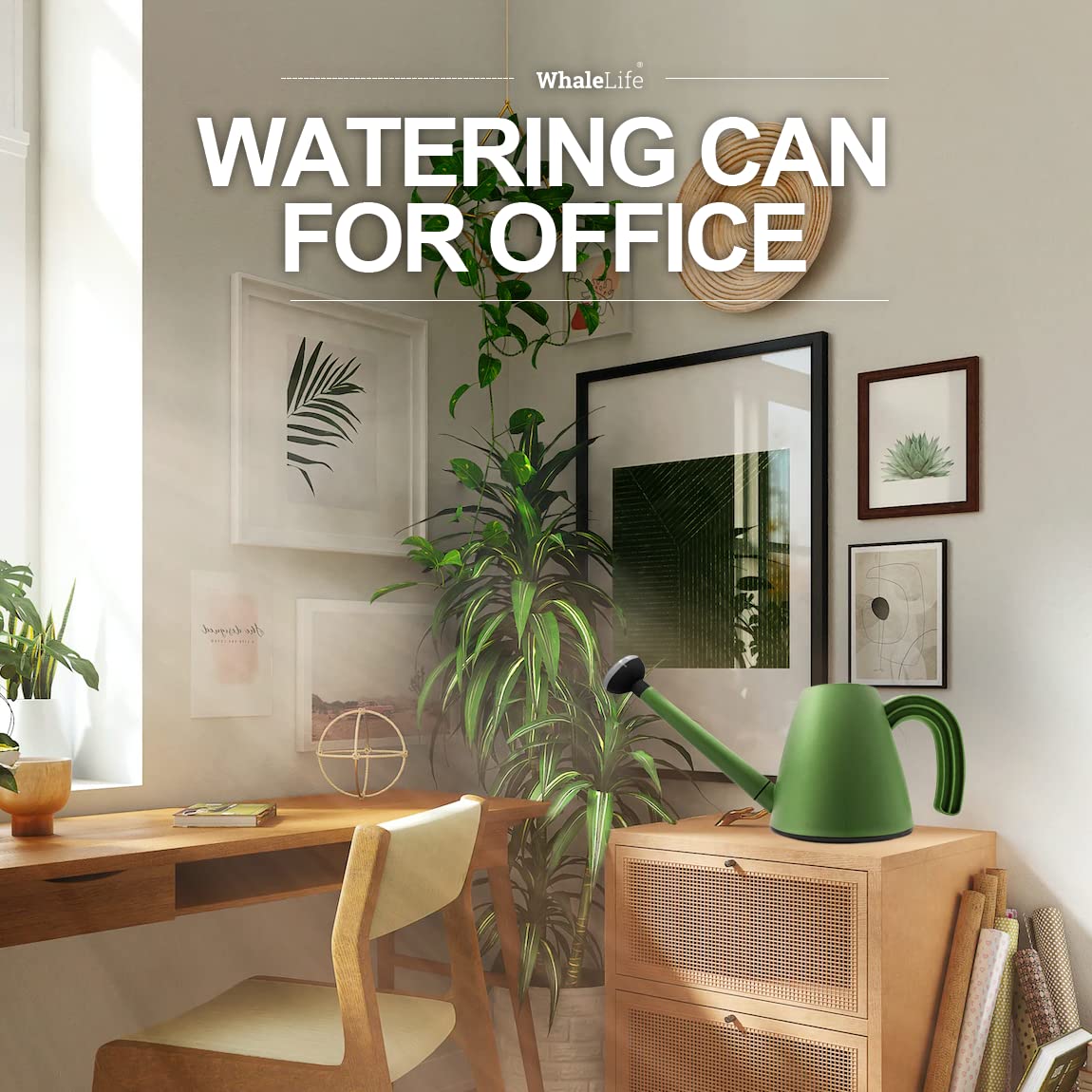 WhaleLife watering can for succulents and delicate indoor plants.