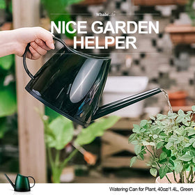 WhaleLife ideal for succulents and tiny desk gardens.