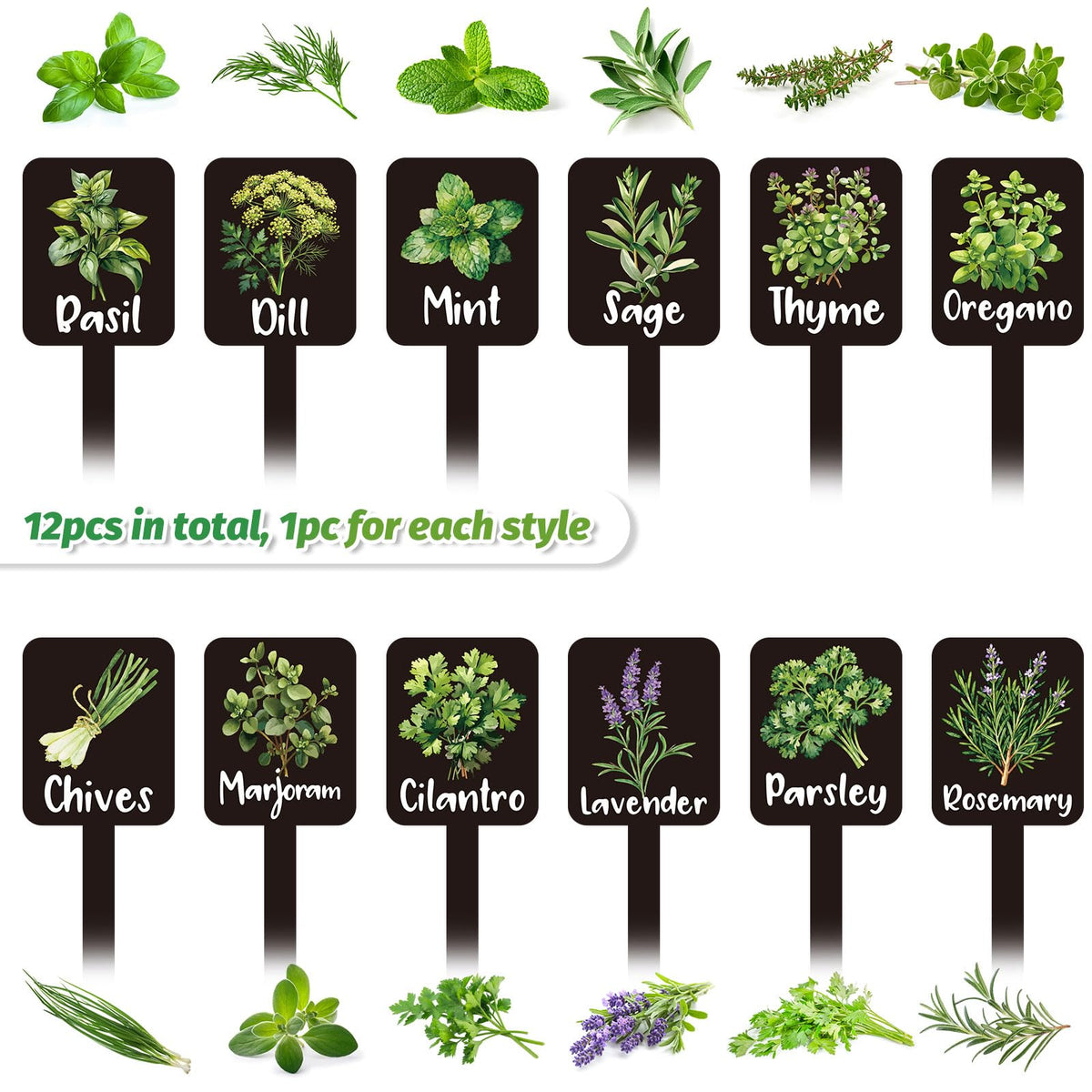 Whaline 12-styles herb labels highlight variety and easy plant identification.