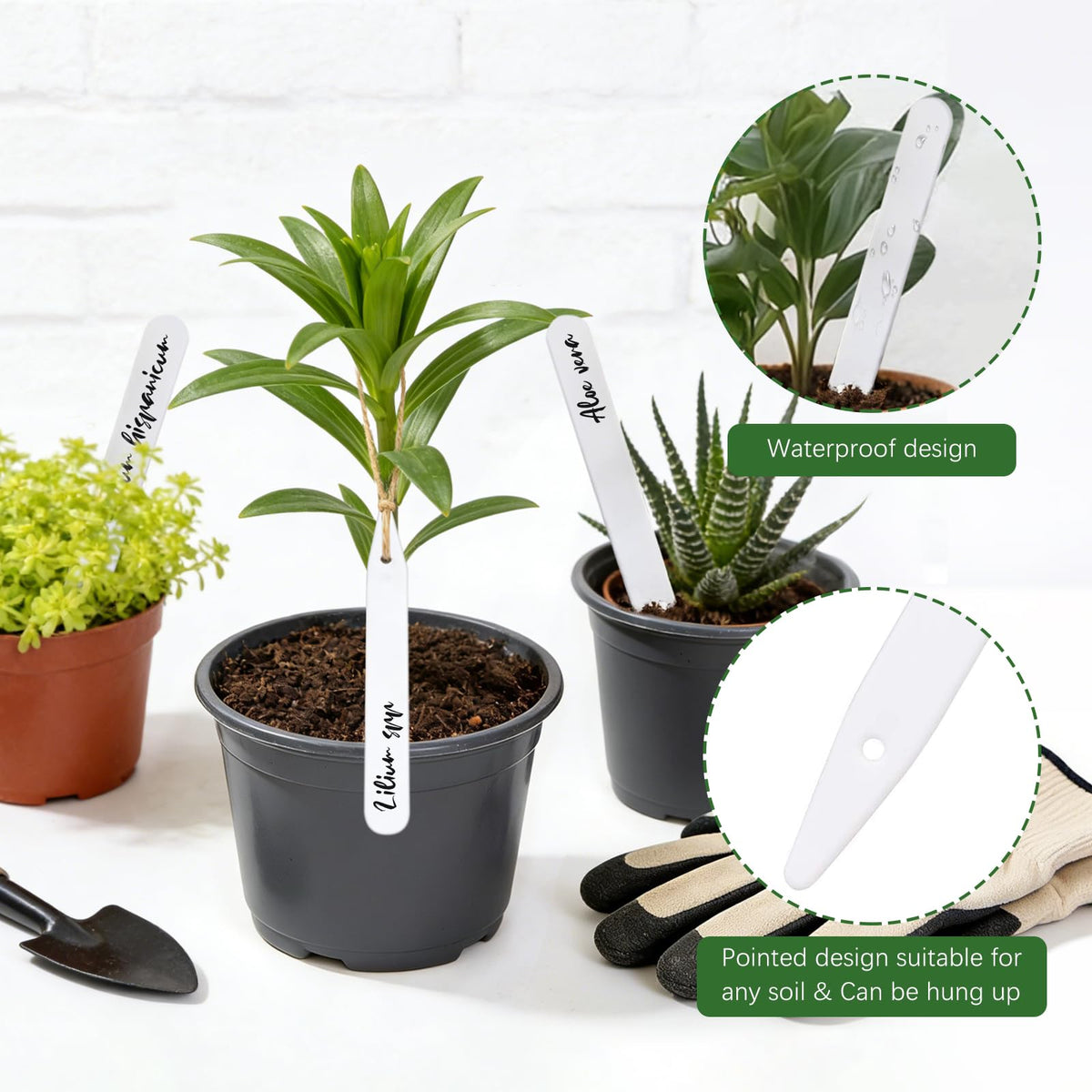 Whaline 5m twine roll for attaching and hanging the labels in pots or beds