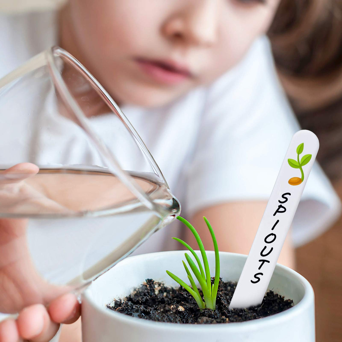 Whaline durable white plastic plant labels designed for reuse in all weather