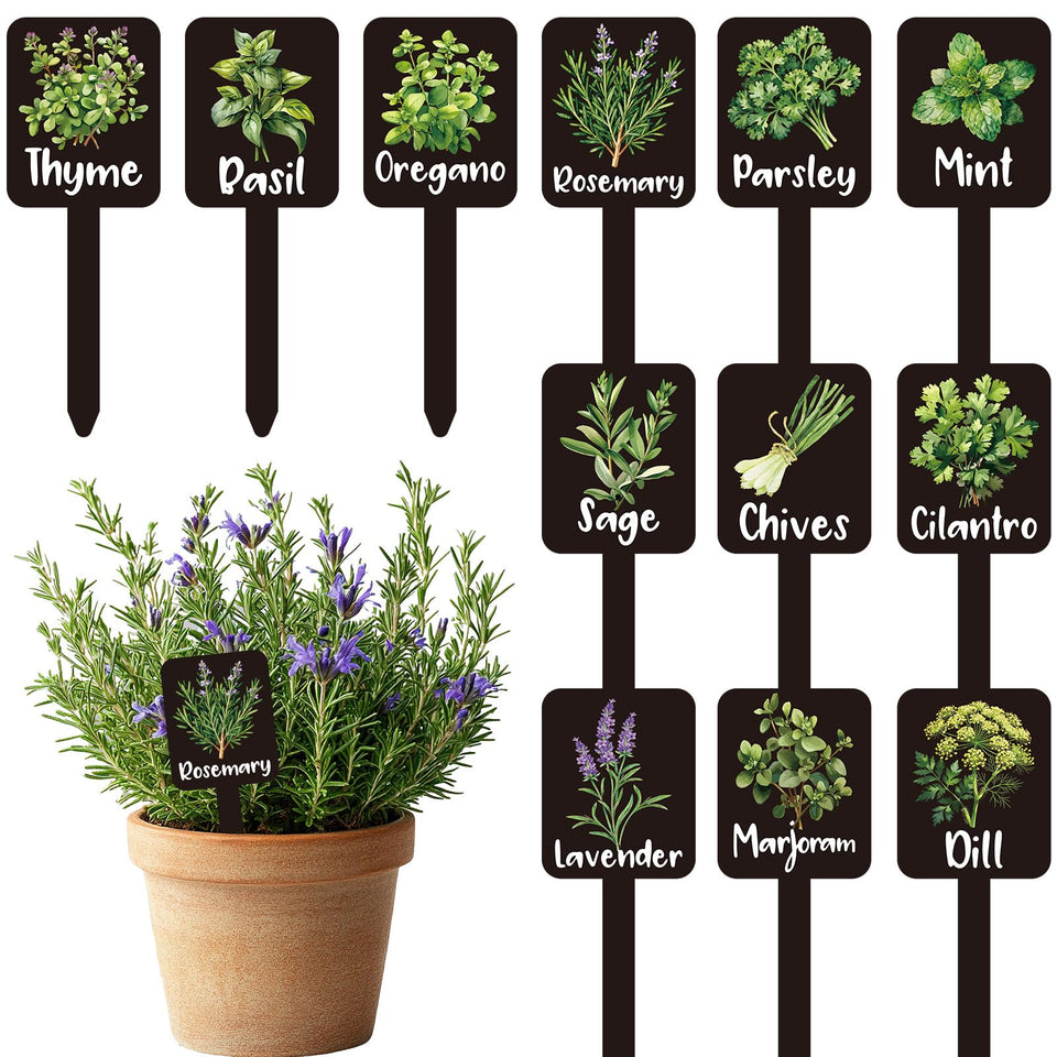 Whaline herb label signs collection aids clear herb identification in garden.