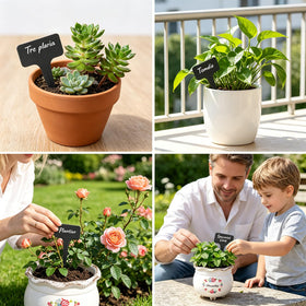 Whaline garden setup with labeled seedlings for tidy organization