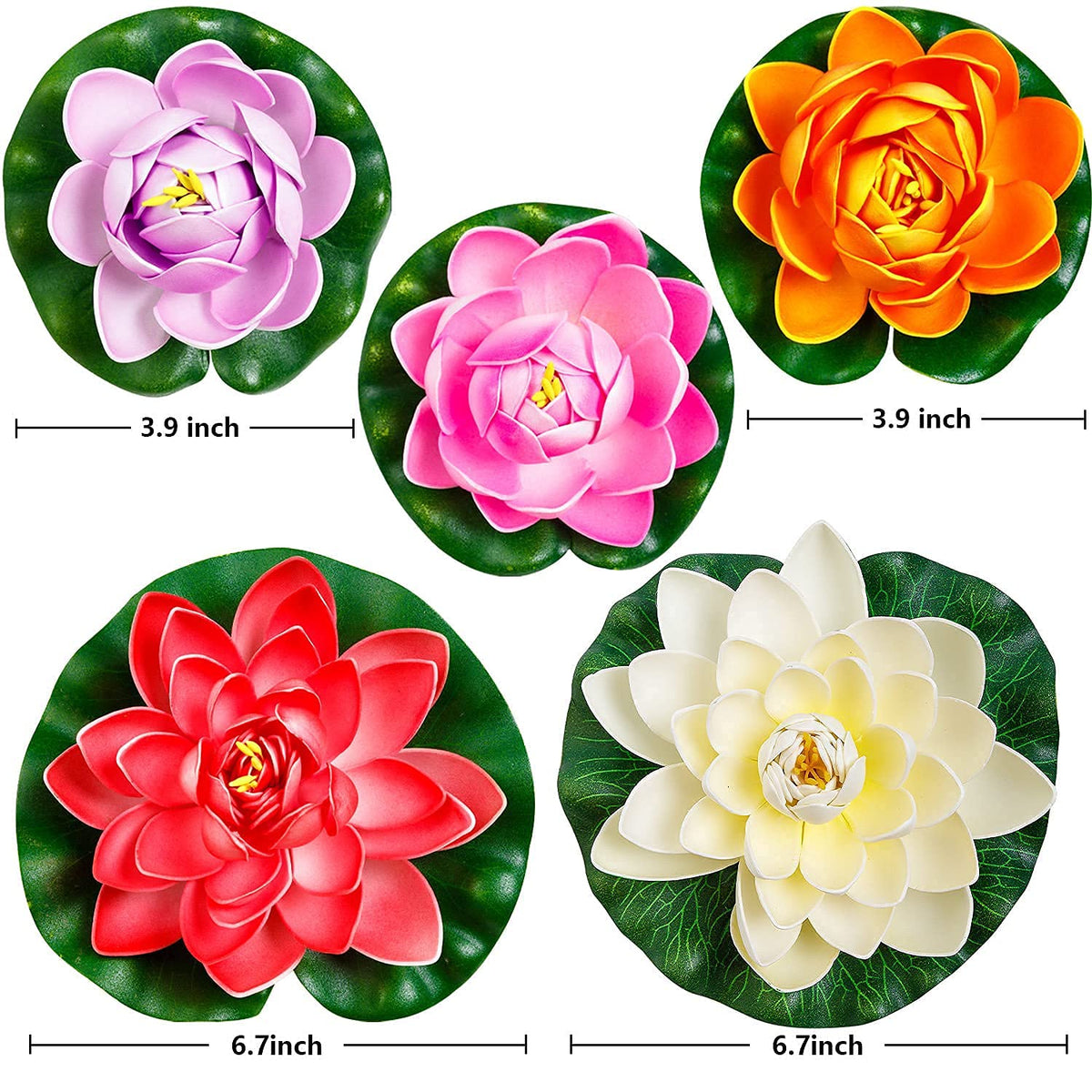 WhistenFla lotus flowers drift above water for vibrant pool accents