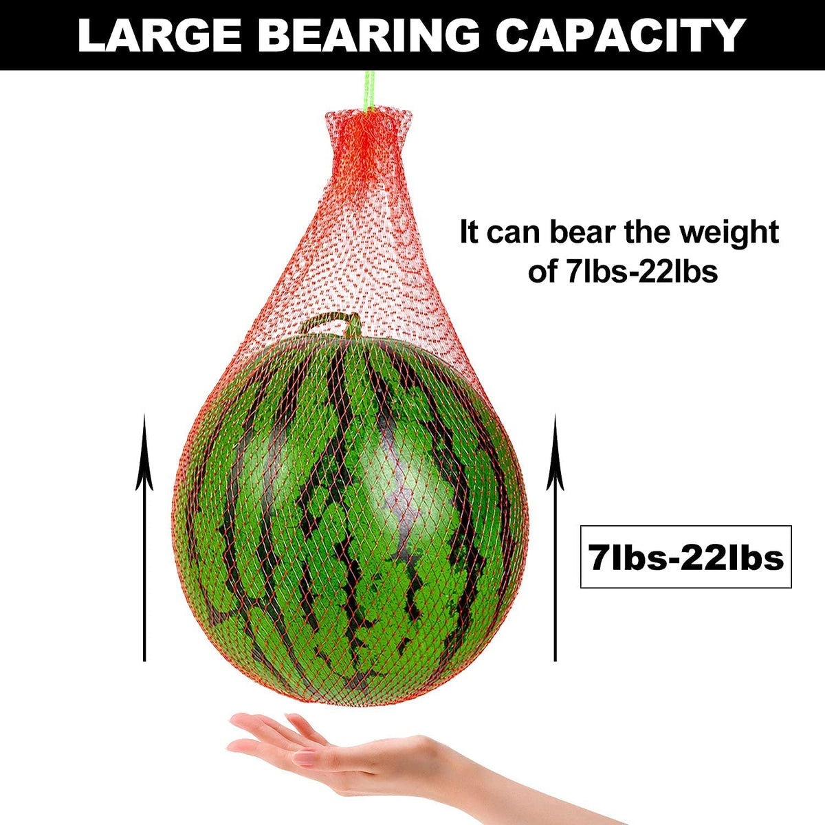 WhistenFla Trellis Fruit Support keeps vines neat and promotes even sun exposure.