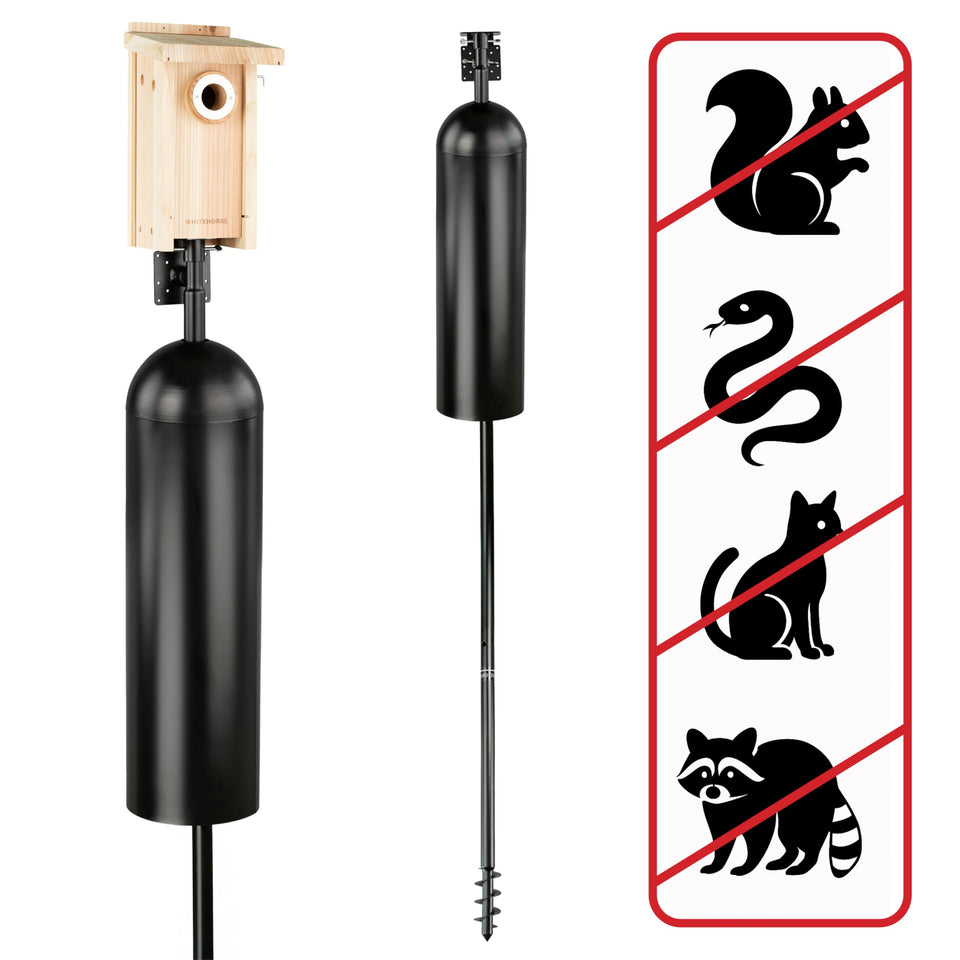 WhiteHorse bird house pole with baffle protects feeders from wind and squirrels.