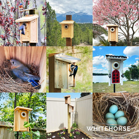 WHITEHORSE entry-hole guard protects nest from pests