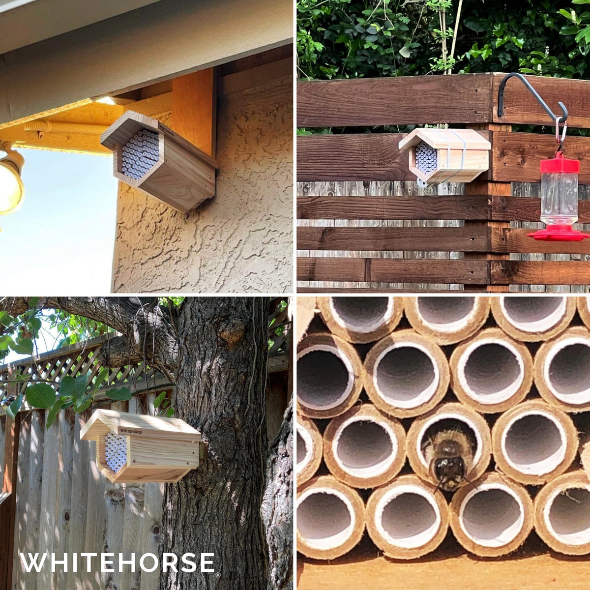WHITEHORSE Cedar Bee House replaceable tubes enable easy mason bee tube changes.