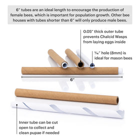 WHITEHORSE Cedar Bee House weatherproof roof protects tubes during rain and sun.
