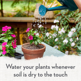 Whitney Farms Lightweight Mix is ideal for container gardening.