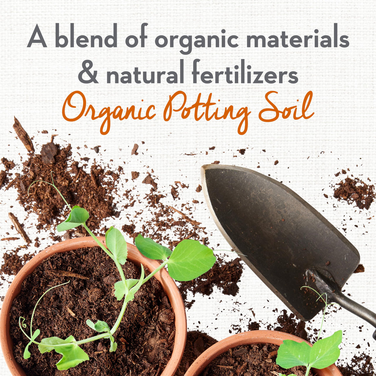 Whitney Farms Ready-To-Use Potting Mix in action for effortless transplanting.