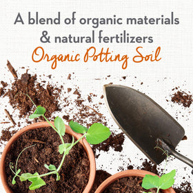 Whitney Farms Ready-To-Use Potting Mix in action for effortless transplanting.