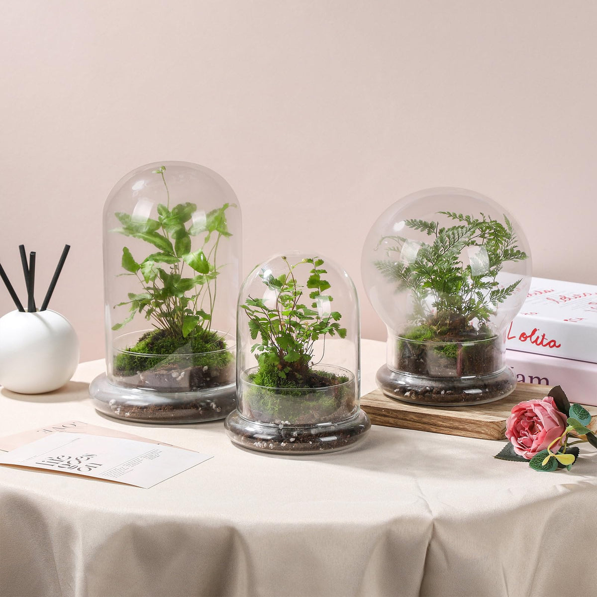 WHJY easy-clean glass cloche protects and showcases delicate specimens.