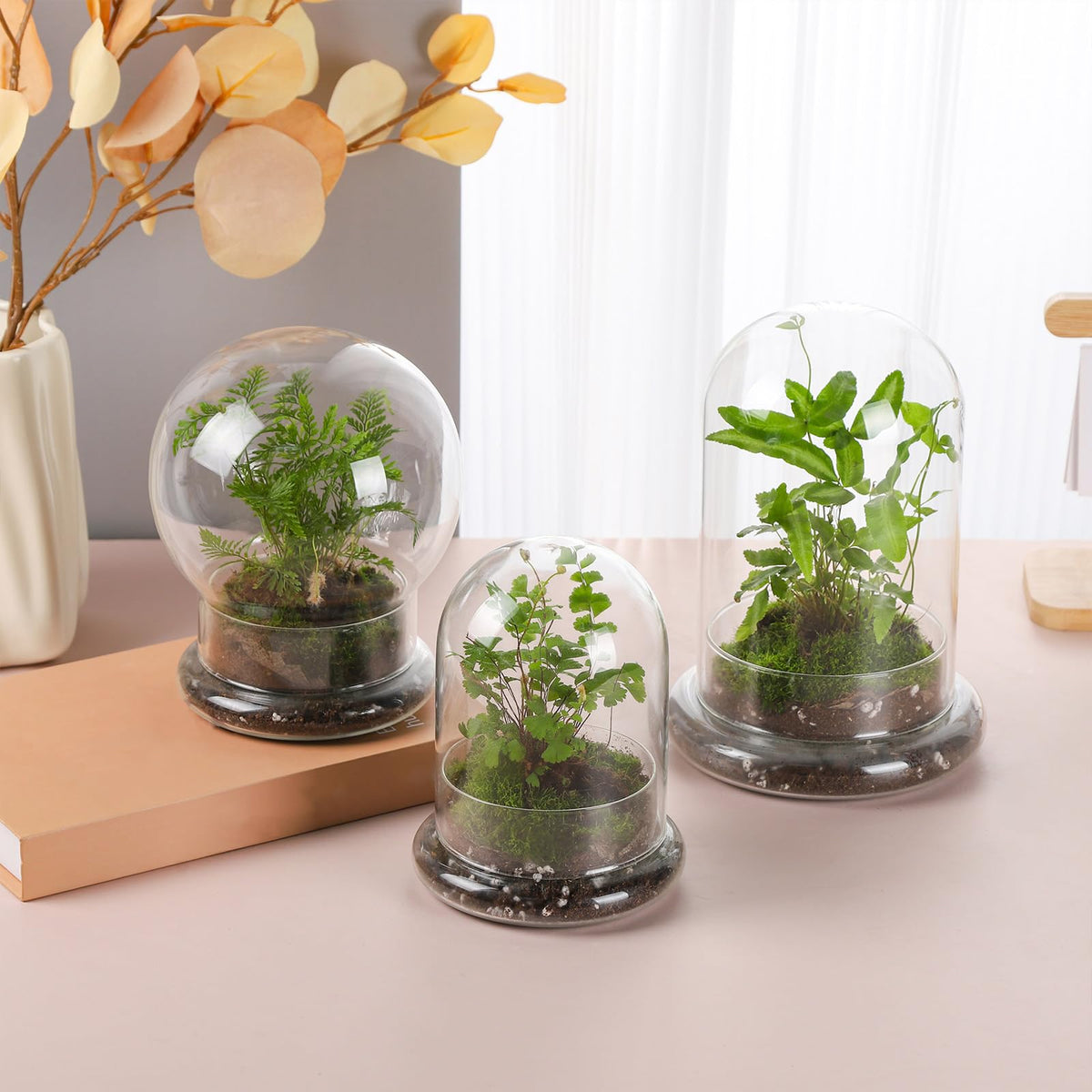 WHJY indoor display cloche invites DIY miniature landscapes and decor.