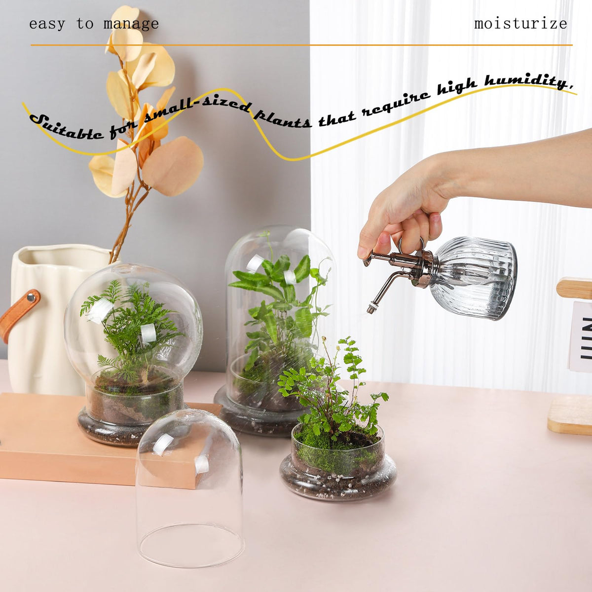 WHJY small cloche with base ideal for windowsill plant displays.