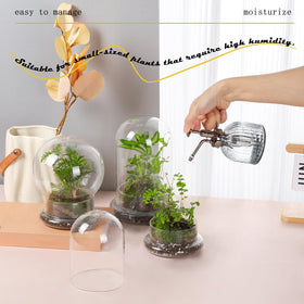 WHJY small cloche with base ideal for windowsill plant displays.
