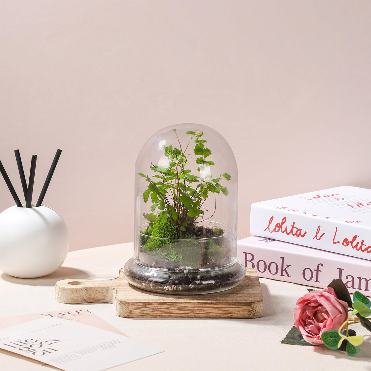WHJY transparent dome for plants enhances home decor and natural light.