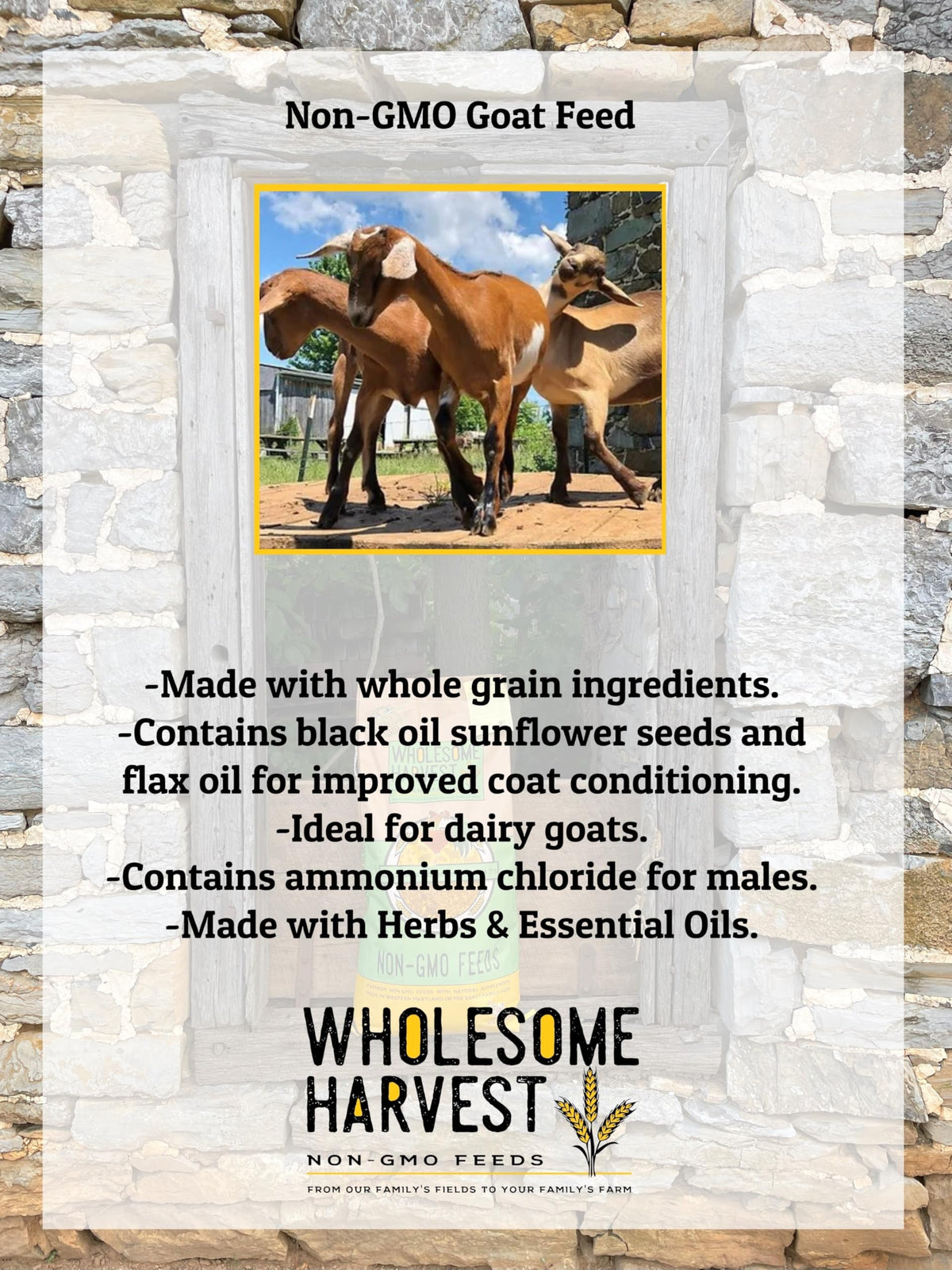 Wholesome Harvest goat feed probiotics and kelp label highlight digestion