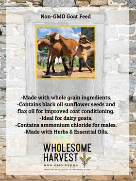 Wholesome Harvest goat feed probiotics and kelp label highlight digestion